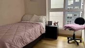 Shared Apartments (single room)