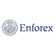Enforex Малага, Испания